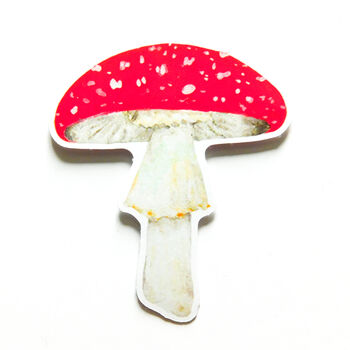 Fungi Fly Agaric Mushroom Sticker, 2 of 4