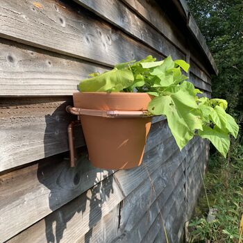 Large Plant Pot Wall Holder, 3 of 6
