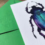 Purple Beetle Illustrated Blank Greeting Card, thumbnail 6 of 10