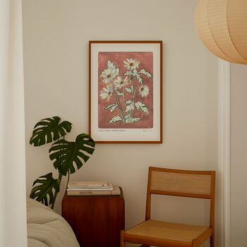 Anemone Blanda Fine Art Print, 2 of 7