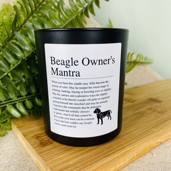 Fun Personalised Beagle Owner's Affirmation Candle, 4 of 11