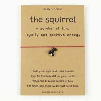 The Squirrel Wish Bracelet, 3 of 5
