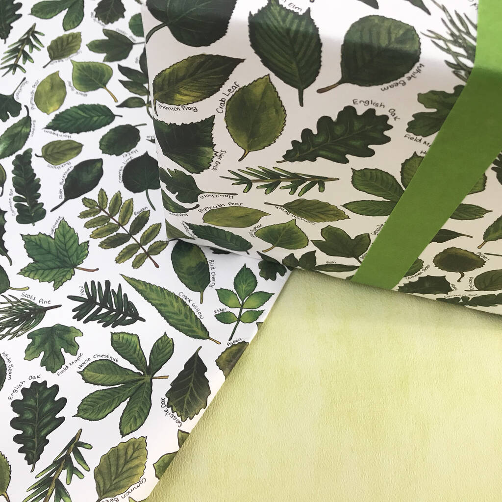 Botanical Leaves Wrapping Paper Set By Alexia Claire