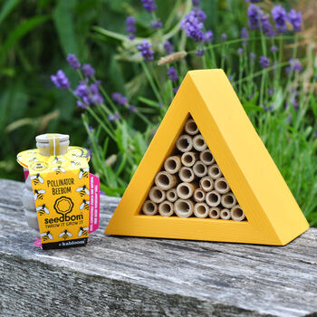 Triangle Bee House Gift Set, 3 of 4