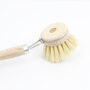 Sustainable Wood Replaceable Head Dish Brush, thumbnail 8 of 11