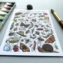 Garden Insects Of Britain Watercolour Postcard, thumbnail 8 of 12