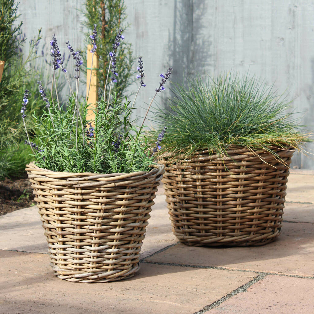 Tapered Round Rattan Planter By Marquis & Dawe | notonthehighstreet.com