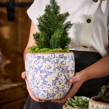 Solene Blue Botanical Planter, 5 of 7