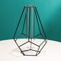 Metal Geometric Frame Flower And Hydroponic Plant Vase, thumbnail 2 of 3