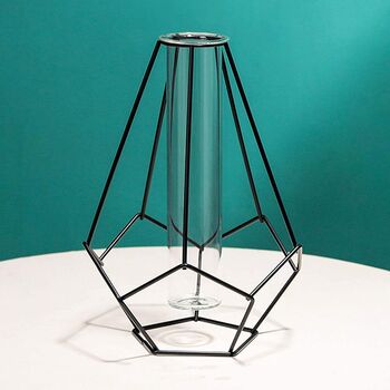 Metal Geometric Frame Flower And Hydroponic Plant Vase, 2 of 3