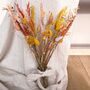 Orange And Yellow Dried Flower Arrangement With Vase, thumbnail 2 of 2