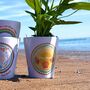 Shells And Sunshine Personalised Teacher Plant Pot Gift, thumbnail 6 of 6