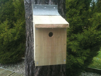 Build Your Own Bird Box Kit, 3 of 5