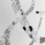 'And Symbol' Linear Illustration Print, thumbnail 4 of 8