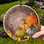 Needle Felting Kit Pumpkins In A Hoop, thumbnail 2 of 5