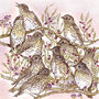 'Song Thrushes' Print, thumbnail 3 of 3