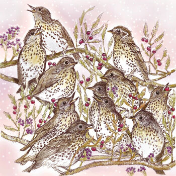 'Song Thrushes' Print, 3 of 3