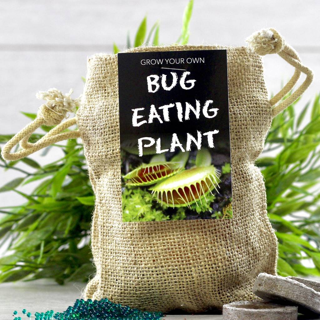 Bug Eating Plant Jute Bag Grow Set, 1 of 7