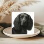 Spaniel Dog Hand Drawn Greeting Card, thumbnail 1 of 5