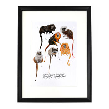 Troop Of Tamarins A4 Art Print, 3 of 8