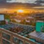 Rooftop Movie Magic With Unlimited Popcorn For Couples, thumbnail 3 of 7