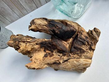 Molten Glass Driftwood Melted Glass Vase On Wood Base, 9 of 9