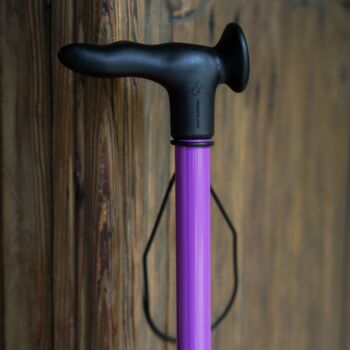 Purple Walking Stick, 2 of 5