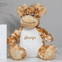 Personalised Giraffe Soft Toy, thumbnail 1 of 4