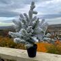 Christmas Snowy Table Top Tree, thumbnail 2 of 4