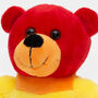 Rainbow Plush Soft Toy Bear Pride Month, thumbnail 2 of 4