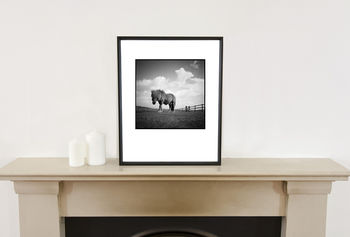 Billy, Shetland Pony Photographic Art Print, 2 of 12