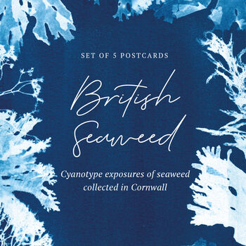 British Seaweed Postcards Set Pack Of Five, 8 of 10