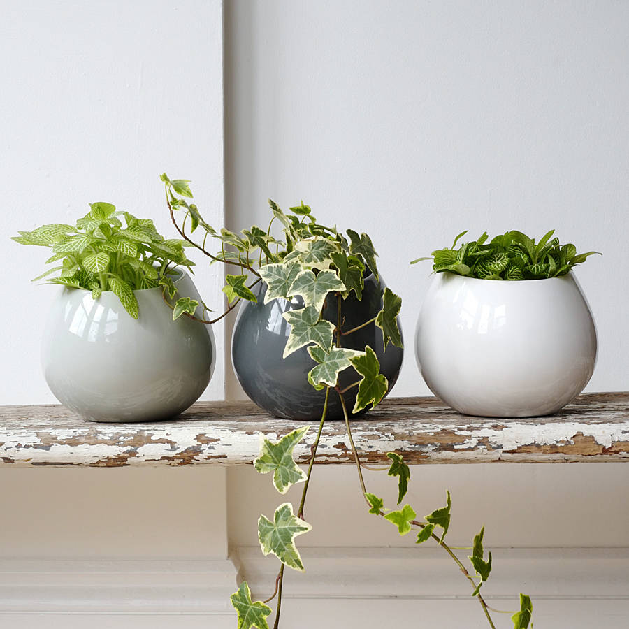 ceramic wall hanging plant pot by lilac coast | notonthehighstreet.com