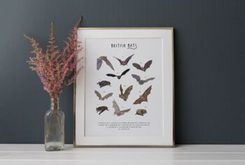 British Bats Print, 4 of 5