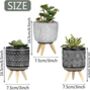 Set Of Three Artificial Succulent Plant In Ceramic Pot, thumbnail 2 of 4