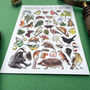 Hedgerow Wildlife Of Britain Watercolour Postcard, thumbnail 7 of 12