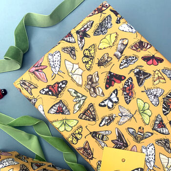 Moth Species Wrapping Paper Set, 8 of 11