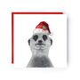 Myra The Meerkat Festive Red Hat Christmas Card, thumbnail 1 of 4
