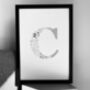 'Letter C' Linear Illustration Print, thumbnail 1 of 6