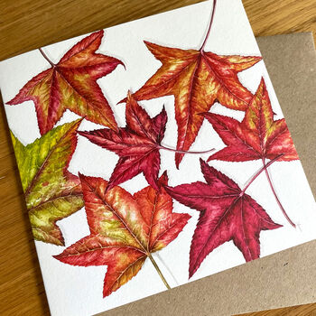 Autumn Colour Botanical Art Cards Pack, 3 of 5