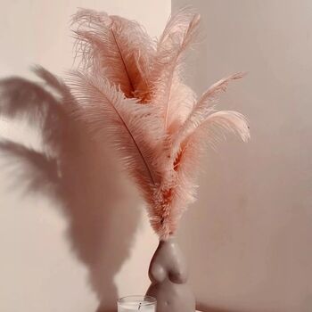 Large 30 To 35cm Imitation Ostrich Feathers, 6 of 12