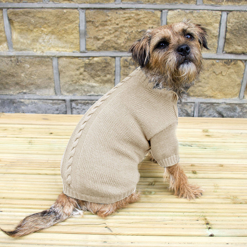 Ivory Chunky Knit Dog Jumper By Dibor