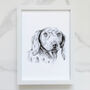 Personalised Pet Portrait Drawing, thumbnail 3 of 11
