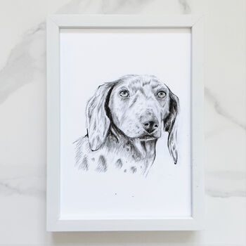 Personalised Pet Portrait Drawing, 3 of 11