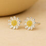 Sterling Silver Golden Daisy Stud Earrings, thumbnail 3 of 8