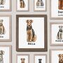 Personalised Airedale Terrier Portrait Print, thumbnail 1 of 10