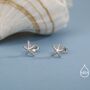 Sterling Silver Little Star Fish Stud Earrings, thumbnail 2 of 12