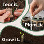 Personalised Indoor Herb Garden Kit, thumbnail 3 of 12