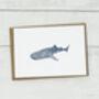 Personalised Whale Shark Card, thumbnail 5 of 5