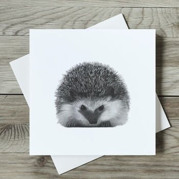 Persei The Luxury Hedgehog Blank Greeting Card, 2 of 7